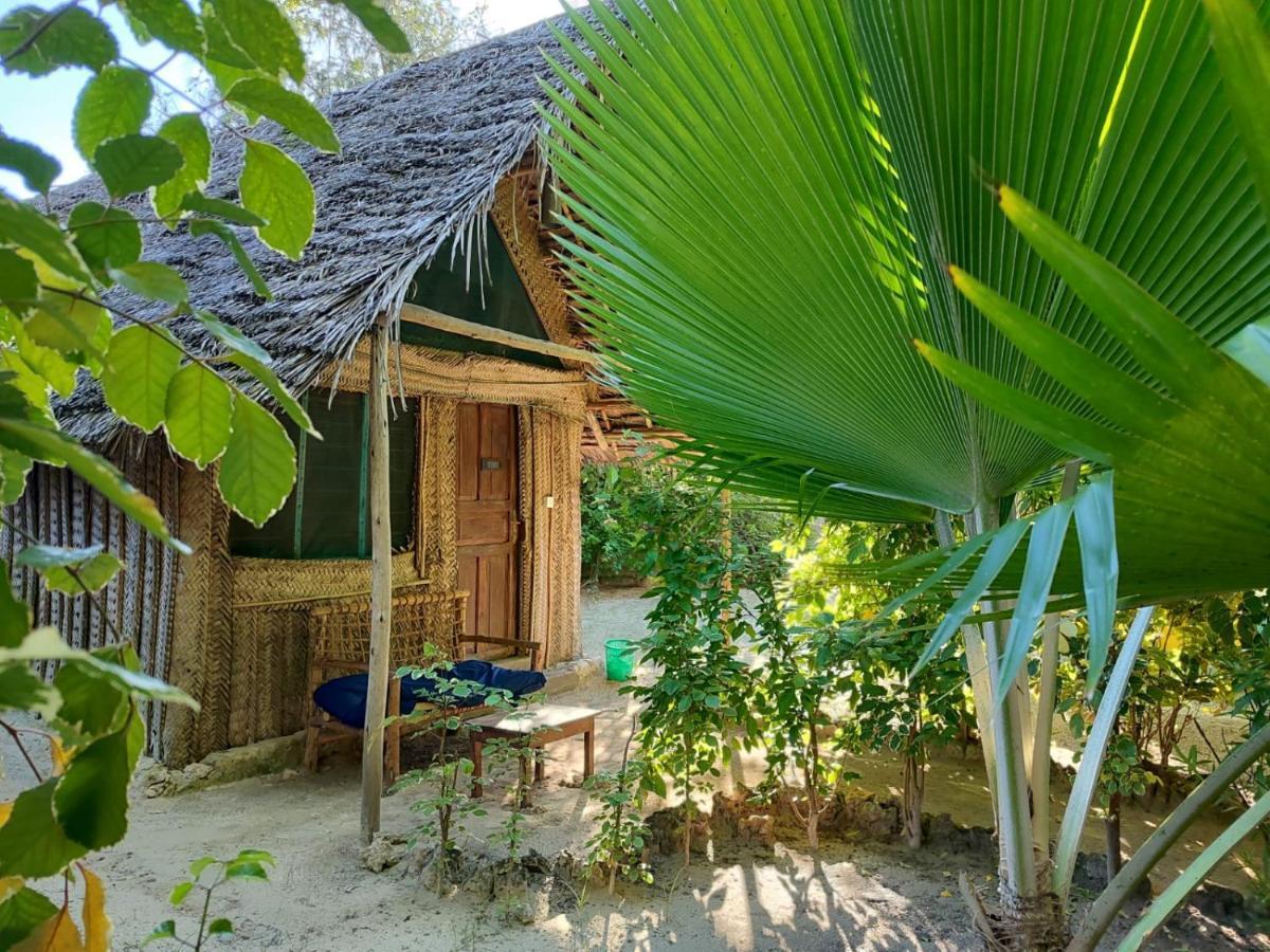 Your Zanzibar Place Paje Zewnętrze zdjęcie