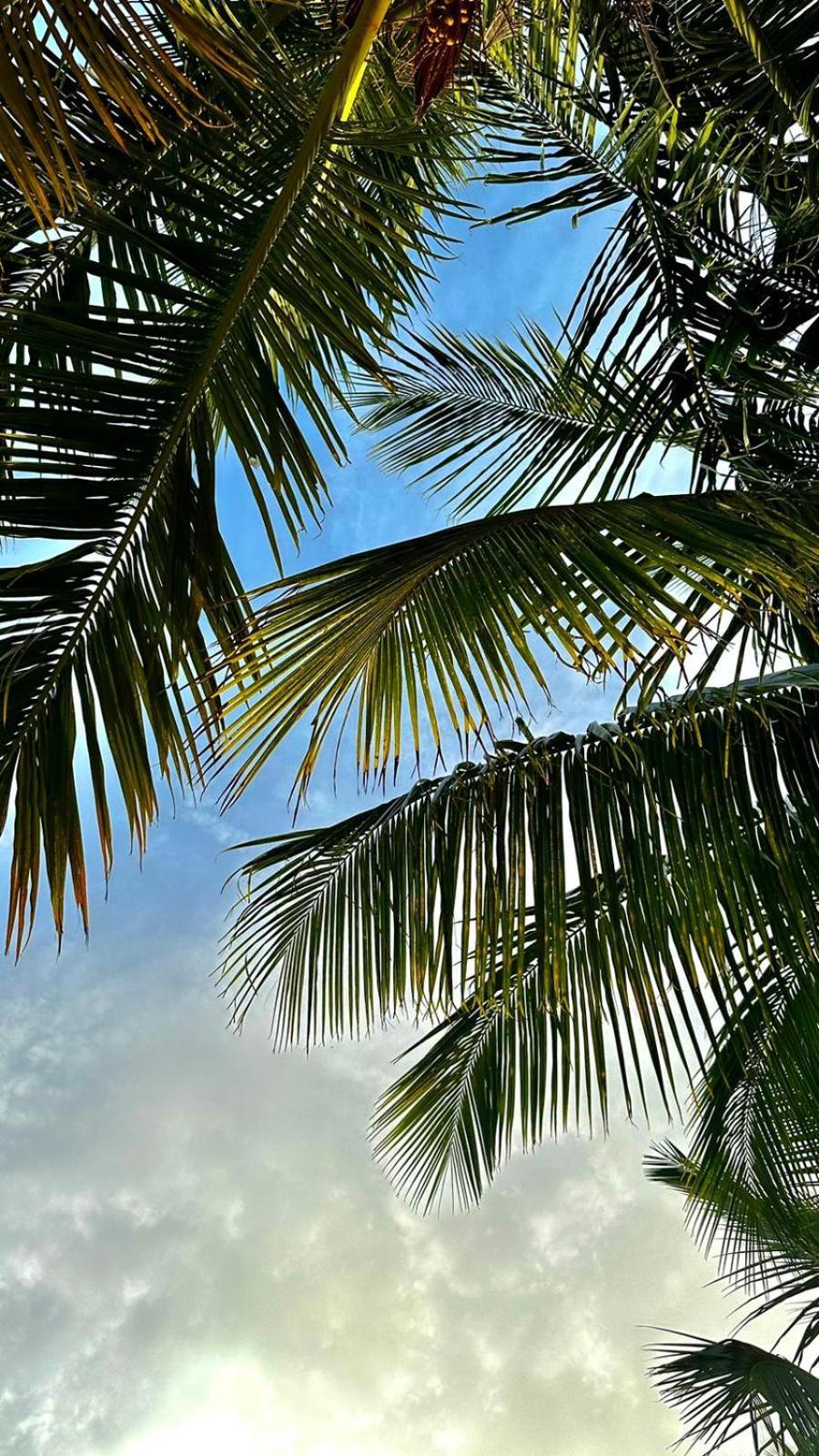 Your Zanzibar Place Paje Zewnętrze zdjęcie