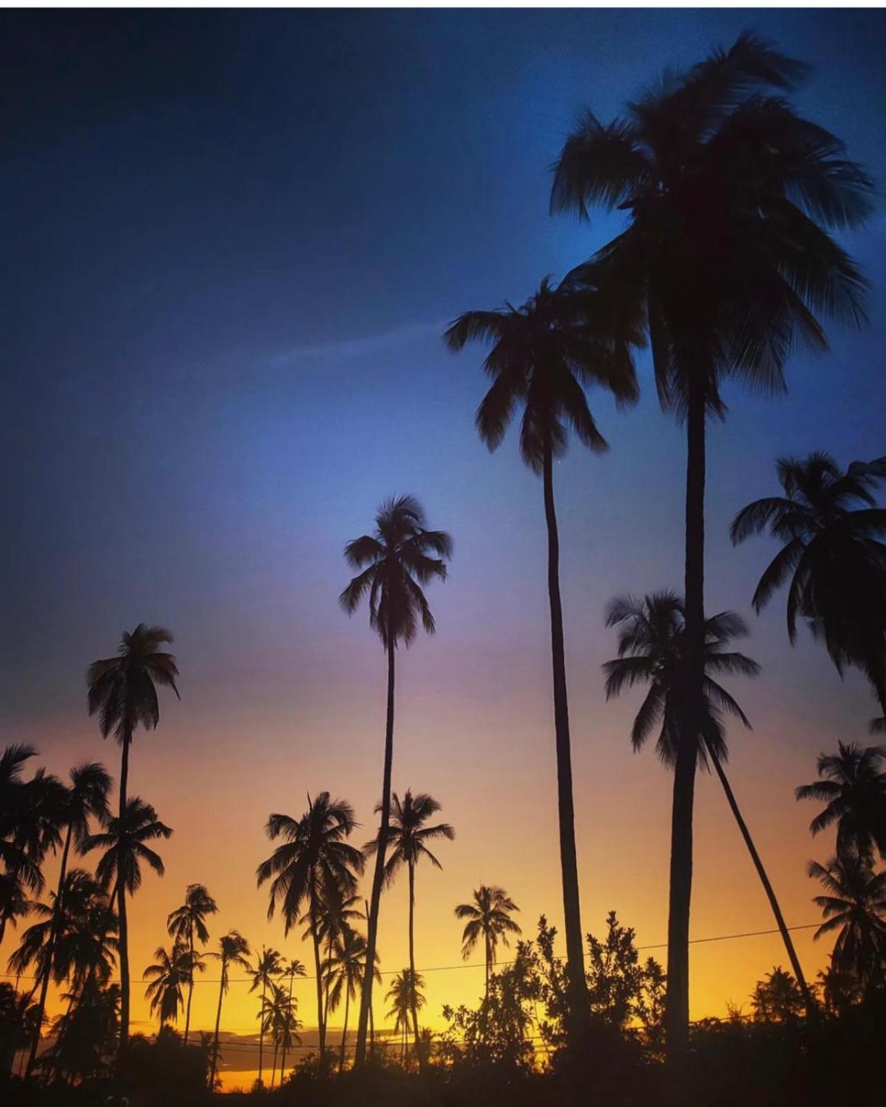 Your Zanzibar Place Paje Zewnętrze zdjęcie
