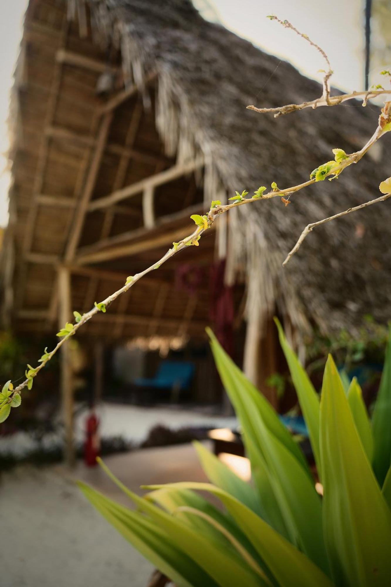 Your Zanzibar Place Paje Zewnętrze zdjęcie